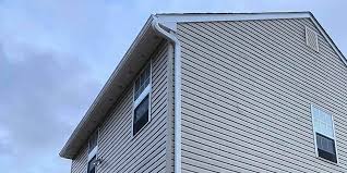 Best Steel Siding Installation  in Devine, TX